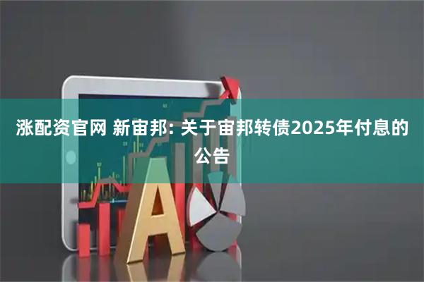 涨配资官网 新宙邦: 关于宙邦转债2025年付息的公告