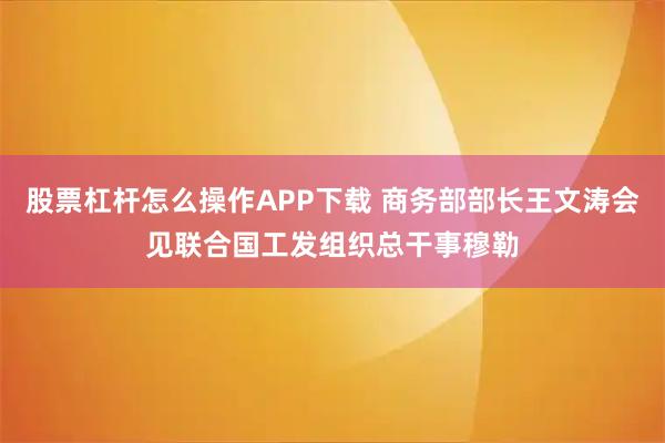 股票杠杆怎么操作APP下载 商务部部长王文涛会见联合国工发组织总干事穆勒